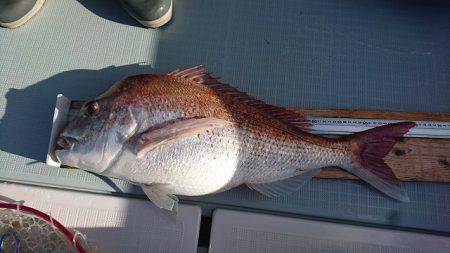 フィッシングボートACE(エース) 釣果