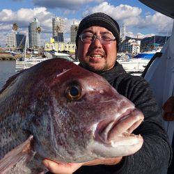 フィッシングボートACE(エース) 釣果