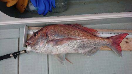 フィッシングボートACE(エース) 釣果