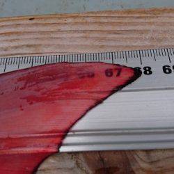 フィッシングボートACE(エース) 釣果