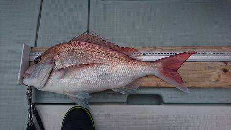 フィッシングボートACE(エース) 釣果