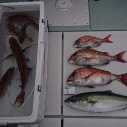 フィッシングボートACE(エース) 釣果