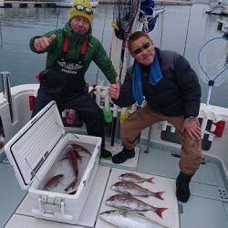 フィッシングボートACE(エース) 釣果