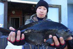 伊豆下田フィッシング 釣果