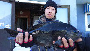 伊豆下田フィッシング 釣果