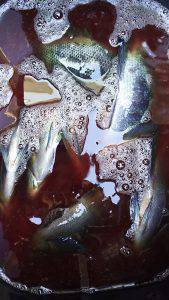 伊豆下田フィッシング 釣果