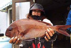 伊豆下田フィッシング 釣果