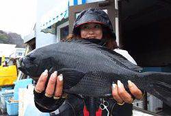 伊豆下田フィッシング 釣果