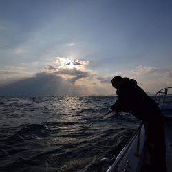 アジアマリンサービス 釣果