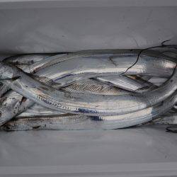 アジアマリンサービス 釣果