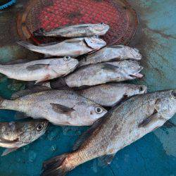 アジアマリンサービス 釣果