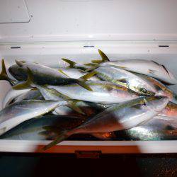 アジアマリンサービス 釣果