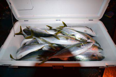 アジアマリンサービス 釣果