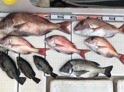 さぶろう丸 釣果