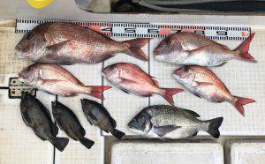 さぶろう丸 釣果