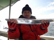 おおせき丸 釣果