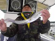 おおせき丸 釣果