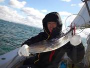 おおせき丸 釣果