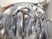 おおせき丸 釣果