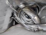 おおせき丸 釣果