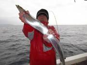 おおせき丸 釣果