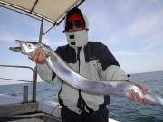 おおせき丸 釣果