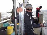 おおせき丸 釣果