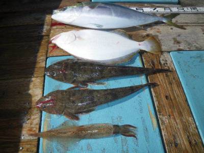 磯部釣船 直栄丸 釣果