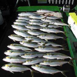 海宝丸 島根 釣果