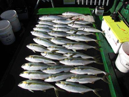 海宝丸 島根 釣果