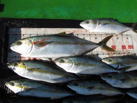 海宝丸　島根 釣果