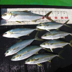 海宝丸 島根 釣果