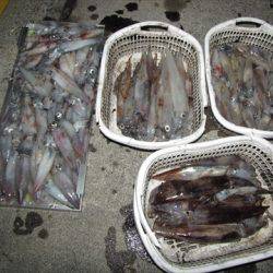 海宝丸 島根 釣果