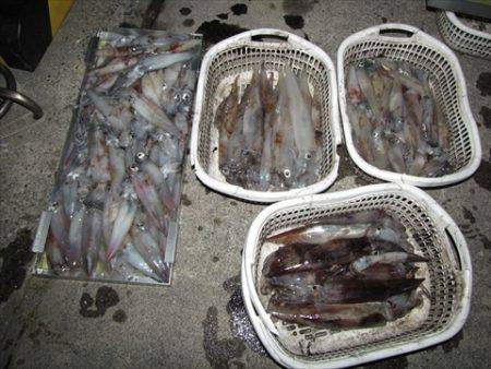 海宝丸 島根 釣果