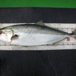 海宝丸 島根 釣果