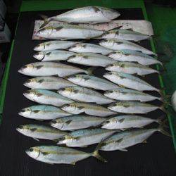 海宝丸 島根 釣果