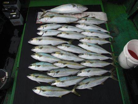 海宝丸 島根 釣果