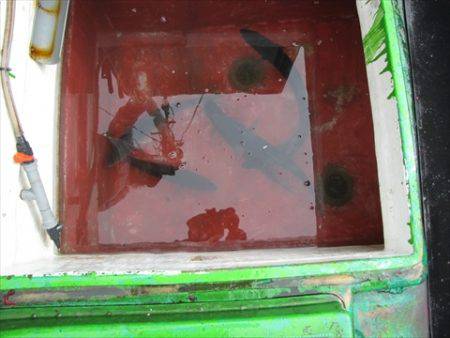 海宝丸 島根 釣果