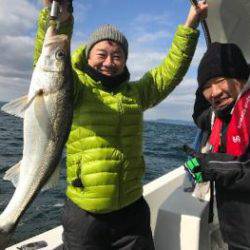 シーマジカル 釣果