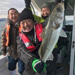 シーマジカル 釣果