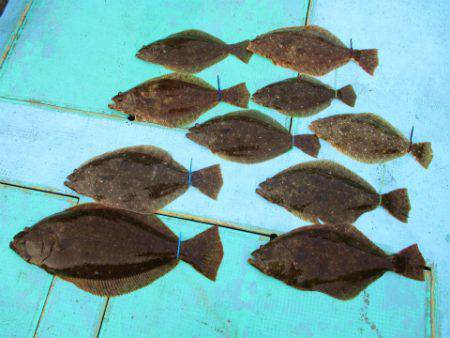 フィッシングガイド とちぎ 釣果