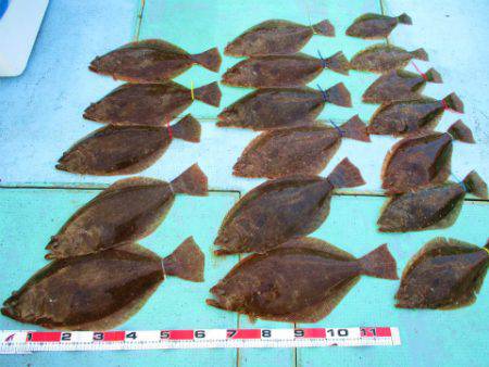 フィッシングガイド とちぎ 釣果