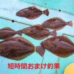 フィッシングガイド とちぎ 釣果