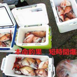 フィッシングガイド とちぎ 釣果