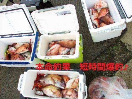 フィッシングガイド とちぎ 釣果