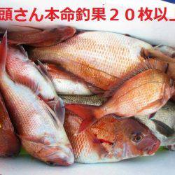 フィッシングガイド とちぎ 釣果