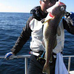 Aquanaut(アクアノート) 釣果