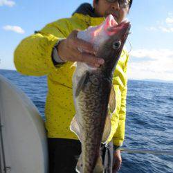 Aquanaut(アクアノート) 釣果