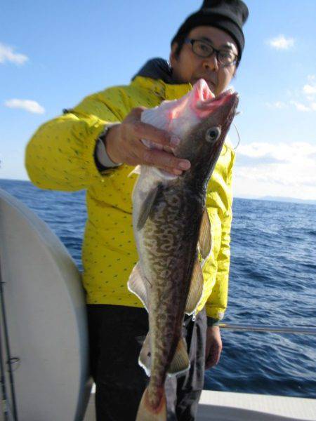 Aquanaut(アクアノート) 釣果