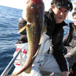 Aquanaut(アクアノート) 釣果